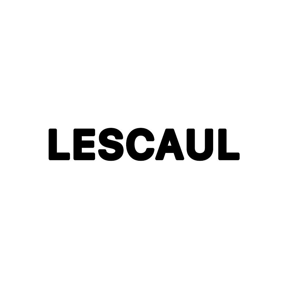 خرید اسکیت برند لسکول | buy LESCAUL skate